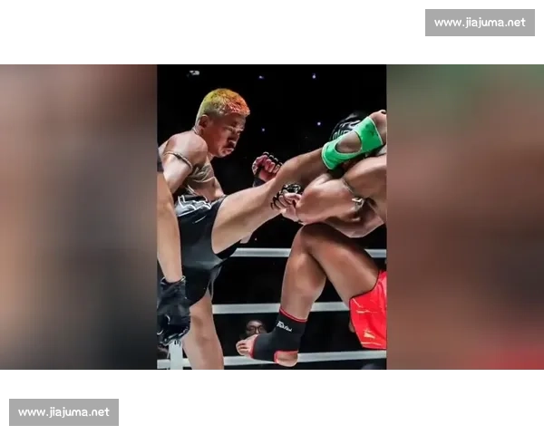 散打对决泰拳:力量与技巧的巅峰较量全方位解析 散打对决泰拳:力量与技巧的巅峰较量全方位解析