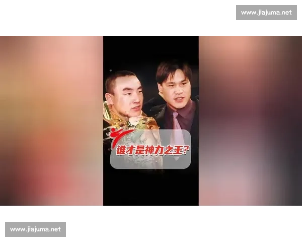 柳海龙与宝力高全面对比分析谁能在行业竞争中胜出